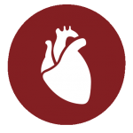 Bioinformatics solutions - heart icon