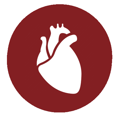 Bioinformatics solutions - heart icon
