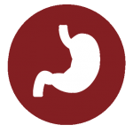 Bioinformatics solutions - stomach icon