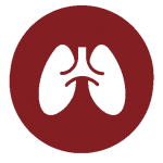 Bioinformatics solutions - lungs icon