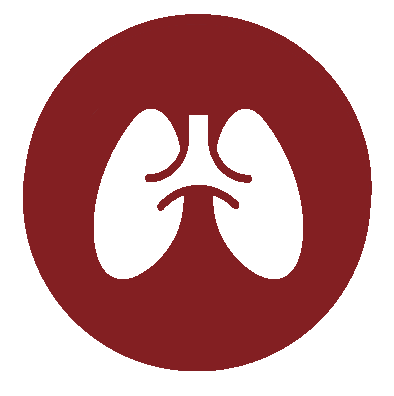 Bioinformatics solutions - lungs icon