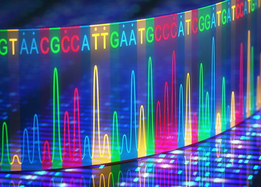 Data Analysis and Visualisation - Visualisation of DNA