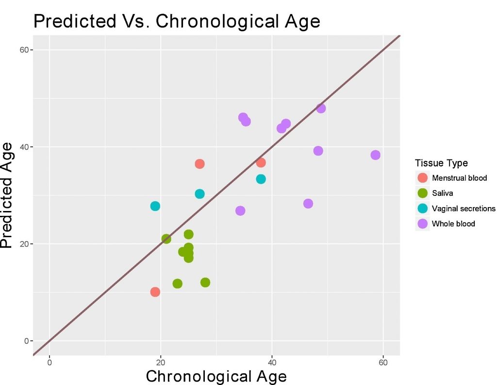 Age prediction performance vs chronological age