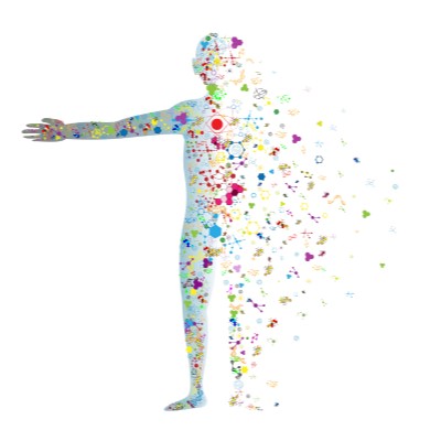 Microbiome Representation In The Human Body