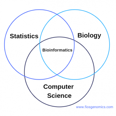 Bioinformatics - Where Does It Fit. At the centre of statistics, biology and computer science