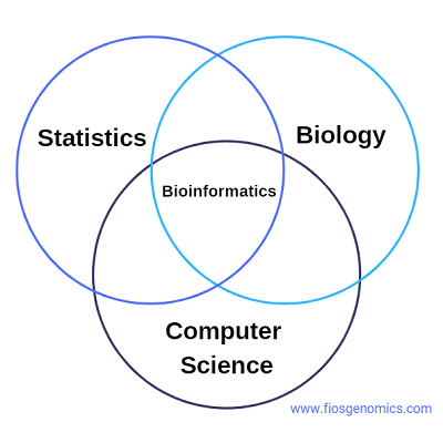 bioinformatics research examples