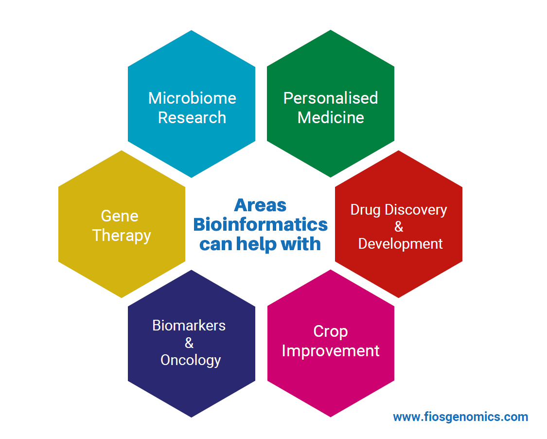 scope and research areas of bioinformatics