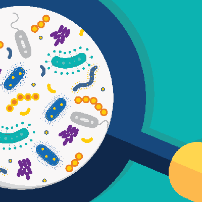 microbiome picture