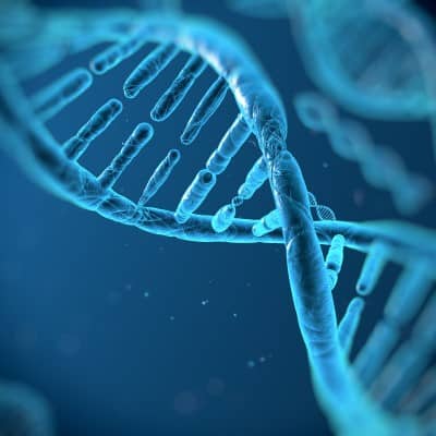 Prime Editing versus CRISPR DNA Helix