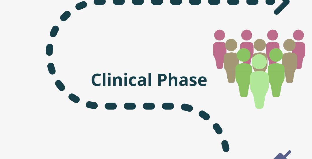 An Overview Of The Drug Development Process Preclinical Stage