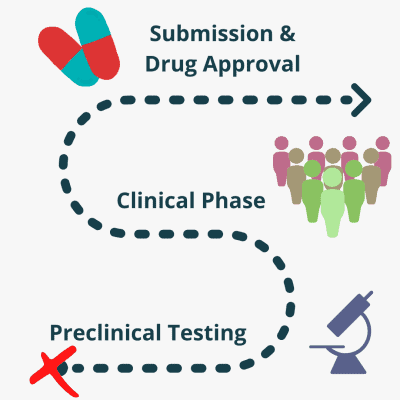 An Overview of the Drug Development Process - Preclinical Stage