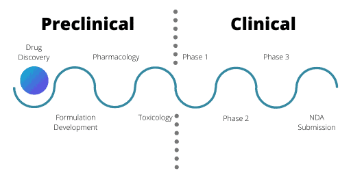 Image showing the different stages of the drug development process, divided into preclinical and clinical phases