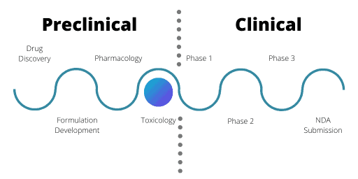 image indicating that toxicology is the final phase of preclinical drug development