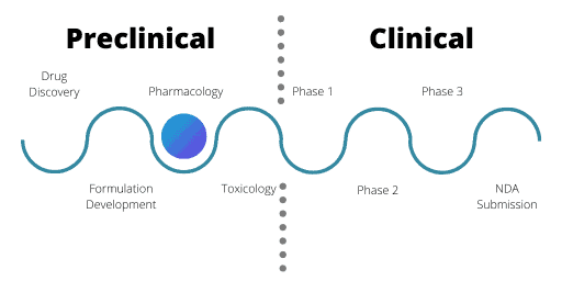 image indicating that pharmacology is the third phase of preclinical drug development