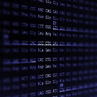 Sequences of amino acids and their base codons on a screen