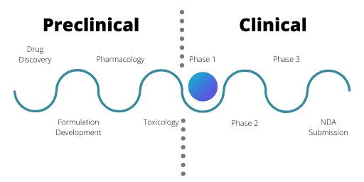 Image deatiling the stages of clinical drug development, with a marker at phase 1