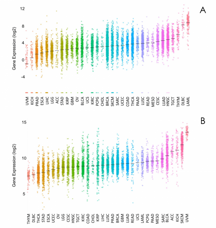 Figure 1: Expression Levels of FUT 7 ( and ST 3 GAL 4 ( in Each of the 33 Cancer Types in the PanCanAtlas