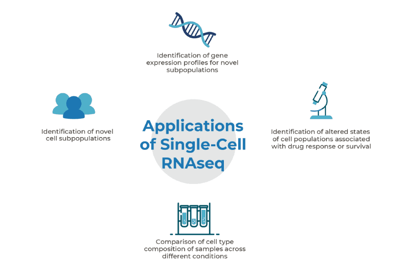 applications of singles cell RNA-seq infographic