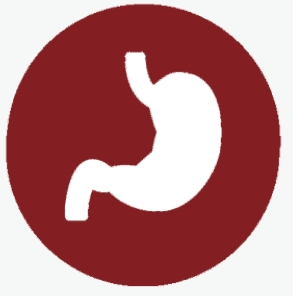 Biomarkers analysis - stomach icon