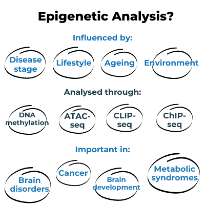 image showing factors that influence epigenetic analysis