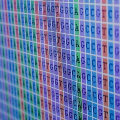 Colourful table of letters making up DNA sequences