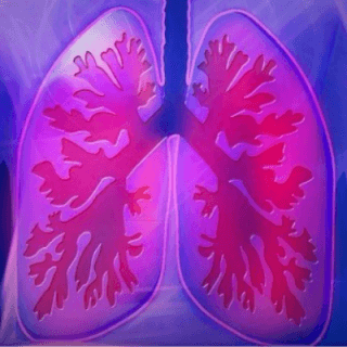 miRNA - Fios analysed miRNA data from lung tissue samples