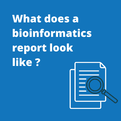 What does a bioinformatics report look like?