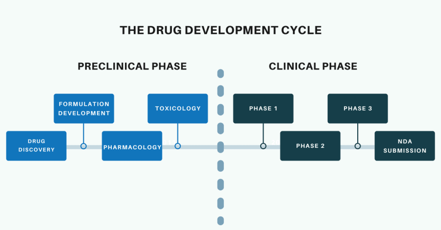 Bioinformatics Applications for Biotechnology - The Drug Development Cycle