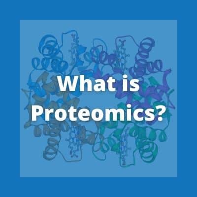 Overview of Proteomics & Proteomics Analysis, blog thumbnail image with the text 'what is proteomics' | Fios Genomics