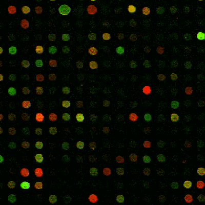 microarrays