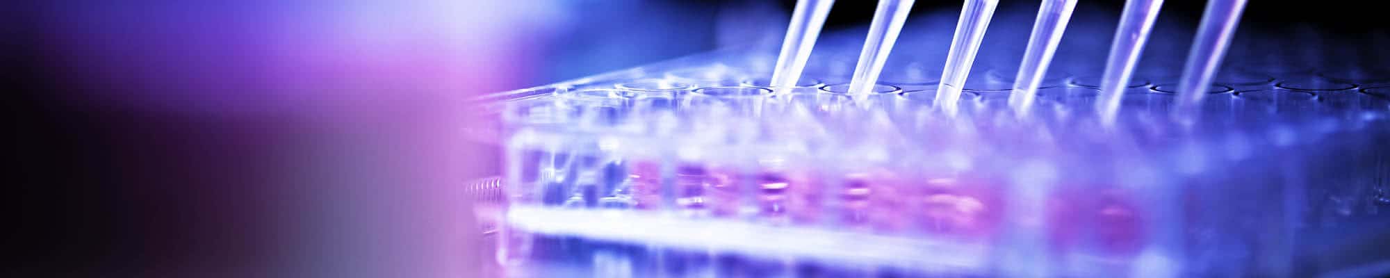 pipettes on a purple background