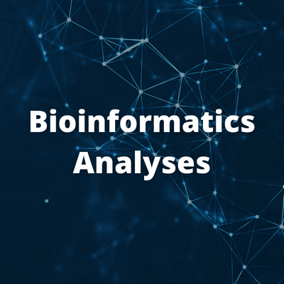 Image of network connections with text that read 'Bioinformatics Analyses'