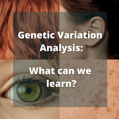 Genetic Variation Analysis featured image showing skin, eye, ear and hair as examples of genetic variation.