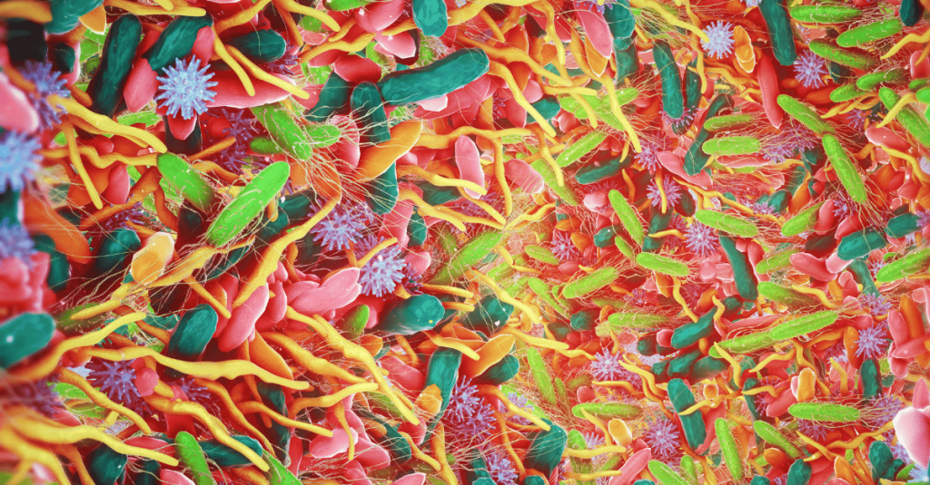 A colourful illustration of some bacteria found in the human gut