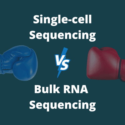 Text reads: 'Single-Cell vs Bulk RNA Sequencing' with an image of boxing gloves.