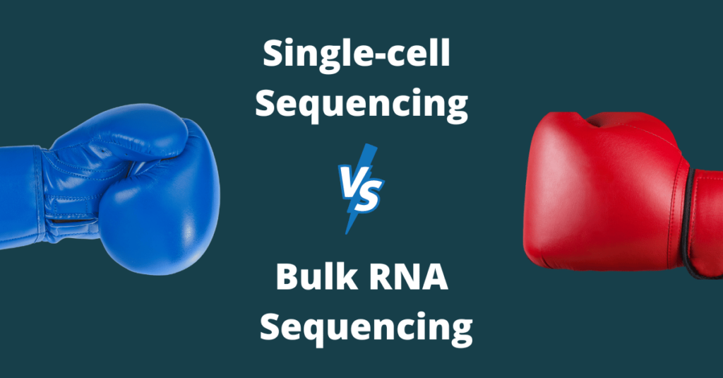 Image show a blue boxing glove and a red boxing with text in between them. The text reads "single-cell vs bulk RNA sequencing". Single cell sequencing is also referred to as scRNA-seq