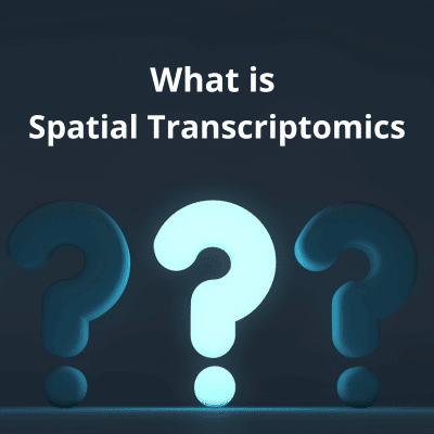 Background image is a question mark and the text reads "What is Spatial Transcriptomics"