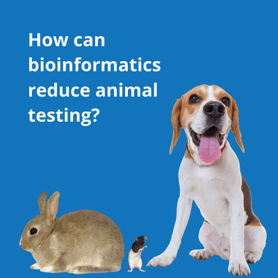 Image shows a rabbit, rat and beagle with text that reads "How can bioinformatics reduce animal testing?"