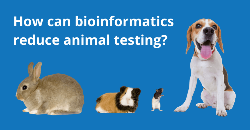 Image shows a rabbit, guinea pig, rat and beagle with text that reads "How can bioinformatics reduce animal testing?"