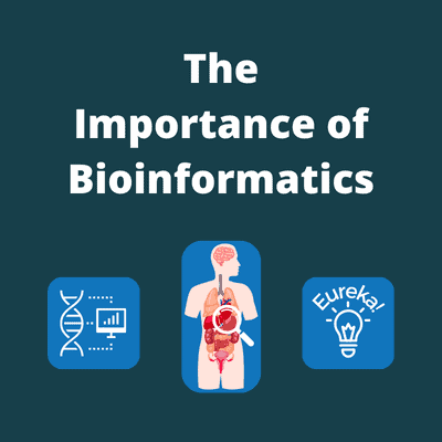 Text reads "The Importance of bioinformatics" and shows an image of a computer, human body and a lightbulb to illustrate the things we can discover about the human body because of bioinformatics