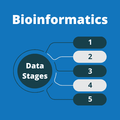 Images text is "Bioinformatics data stages" with the numbers 1 to 5 shown below the text.
