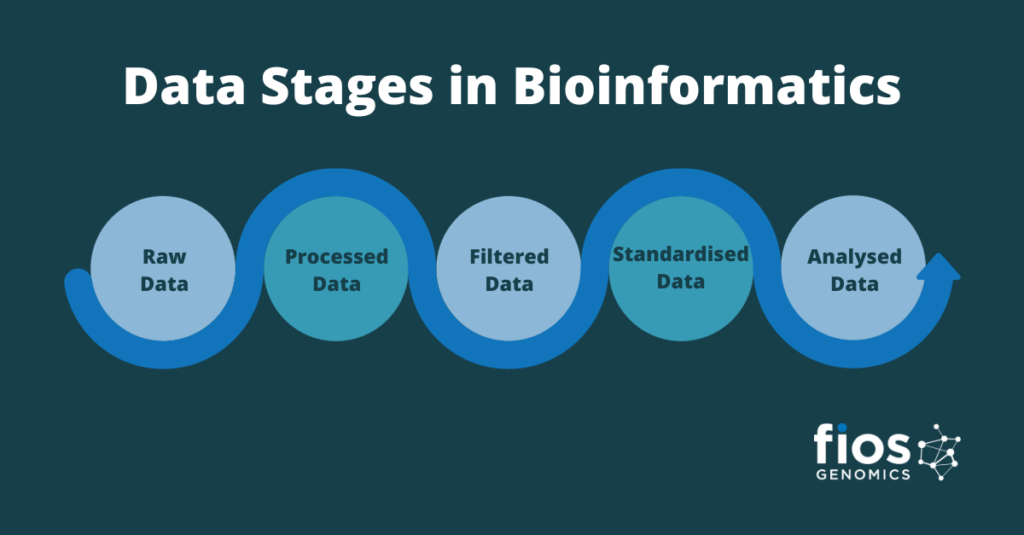 Image shows text bubbles with the 5 data stages of bioinformatics; raw data, processed data, filtered data, standardised data, and analysed data.