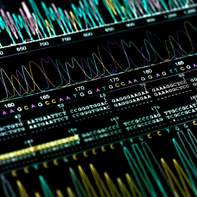 Image shows DNA Sequencing results on a computer screen. This image is used oni the blog "Sequencing Technologies and Methods Explained"