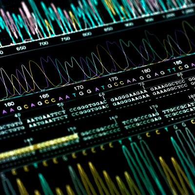 Image shows DNA Sequencing results on a computer screen. This image is used oni the blog 