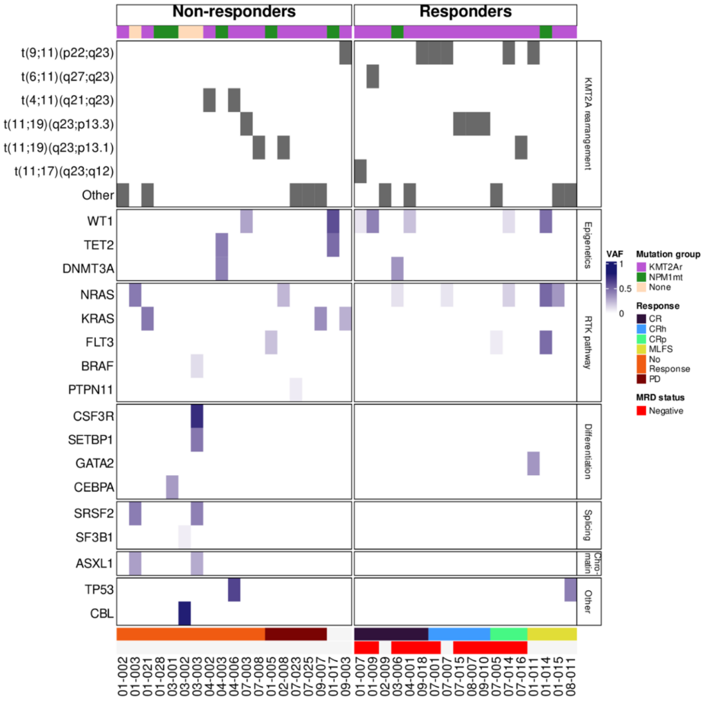 This image shows a heatmap of somatic variants detected in evaluable subjects.