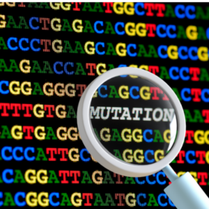 Image shows the a DNA sequence in the form in a string of As, C, Ts an Gs. I magnifying glass is shown over the letters and inside the the 'magnified' part of the sequence, the word 'mutation' is shown.
