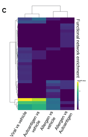 Image C shows Reactome analysis highlighting the functional networks that are differentially up- or down-regulated across different antigen-specific stimulations. 