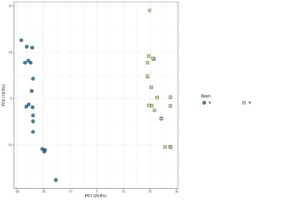Figure 1: Principal component analysis (PCA) of GSE173078 using the FGEZ pipeline: The plot visualises principalcomponent 1 and 2 (PC1 & PC2), and highlights that the samples separate into two groups (A & B) according to batch. Thisplot clearly indicates that there is a batch effect in the data, which must be corrected during differential expression analysisto ensure we obtain accurate results.
