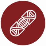 Gene therapy icon from the "Cell and Gene Therapy Bioinformatics" page on the Fios genomics website. Image shows a pill capsule with a DNA helix inside, to symbolise gene therapy.