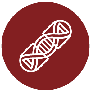 Gene therapy icon from the "Cell and Gene Therapy Bioinformatics" page on the Fios genomics website. Image shows a pill capsule with a DNA helix inside, to symbolise gene therapy.